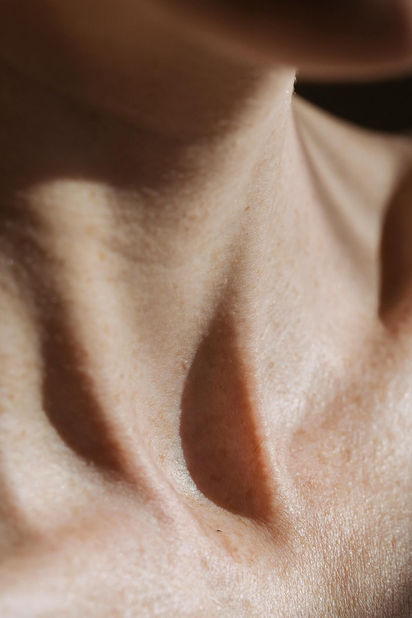 Close-up of skin texture in soft natural light
